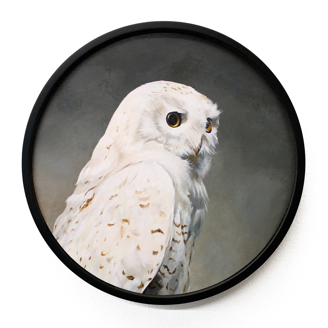 10 inch Round Snowy Owl Framed Wings on Wood Decor