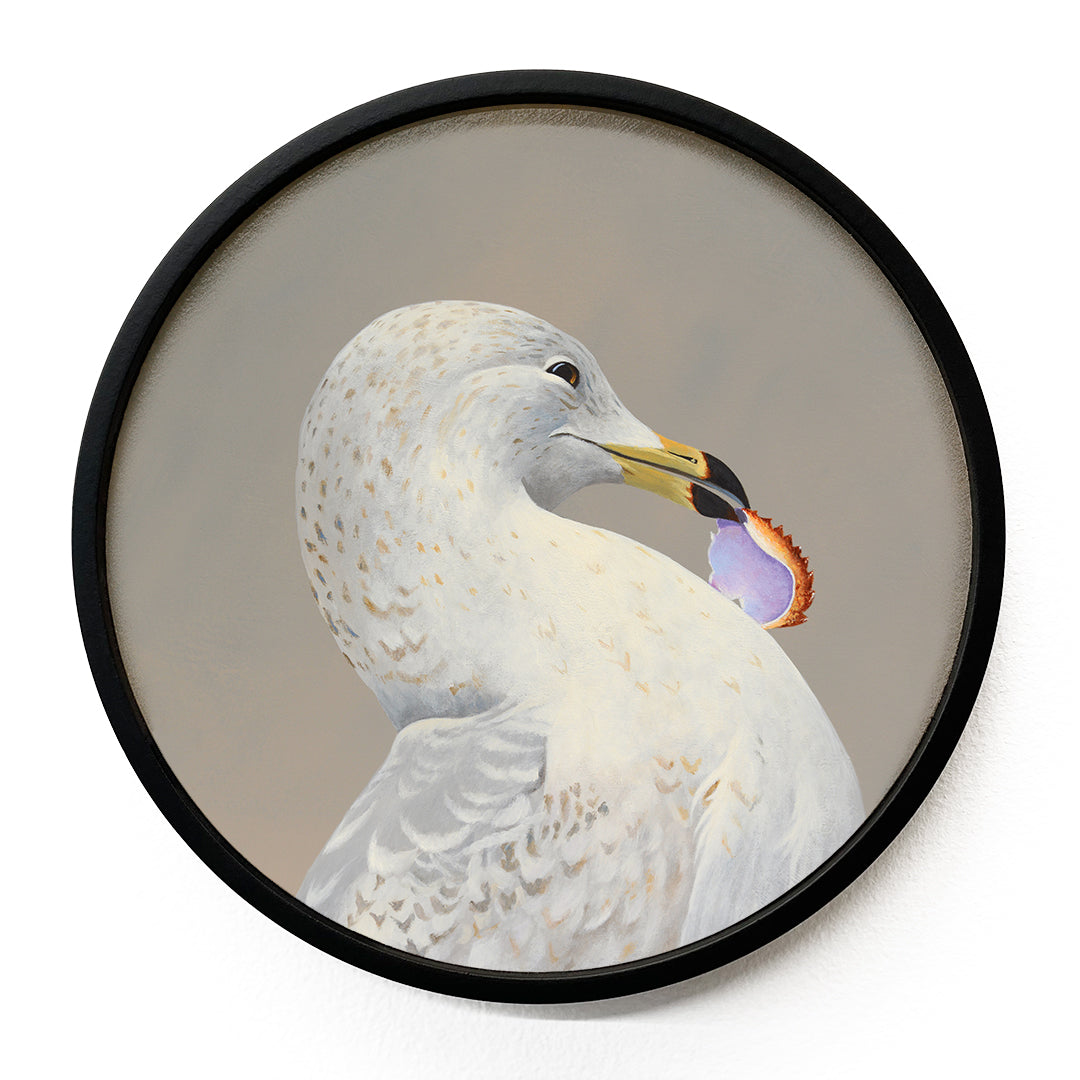 10 inch Round Seagull Framed Wings on Wood Decor