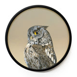 10 inch Round Screech Owl Framed Wings on Wood Decor