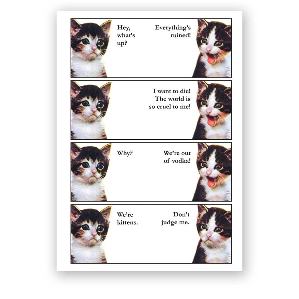 Vodka Kittens Card