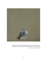 Prolonging Revenge Through Reincarnation: The Paintings of the Mincing Mockingbird Volume III Hardcover Art Book