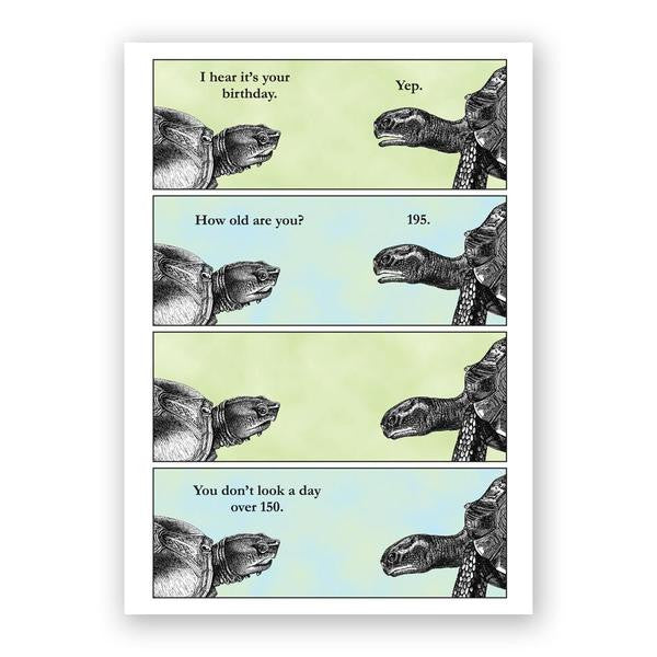 Turtle Birthday Card