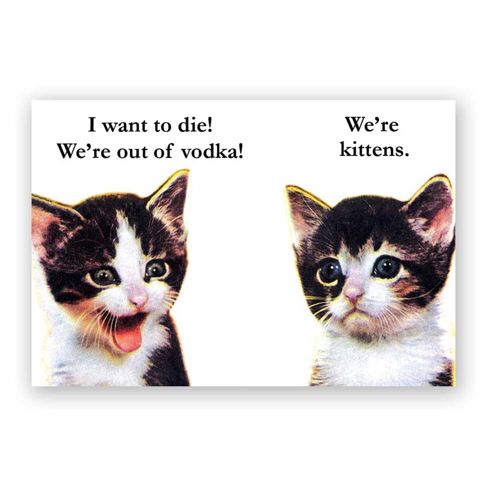 Vodka Kittens Magnet